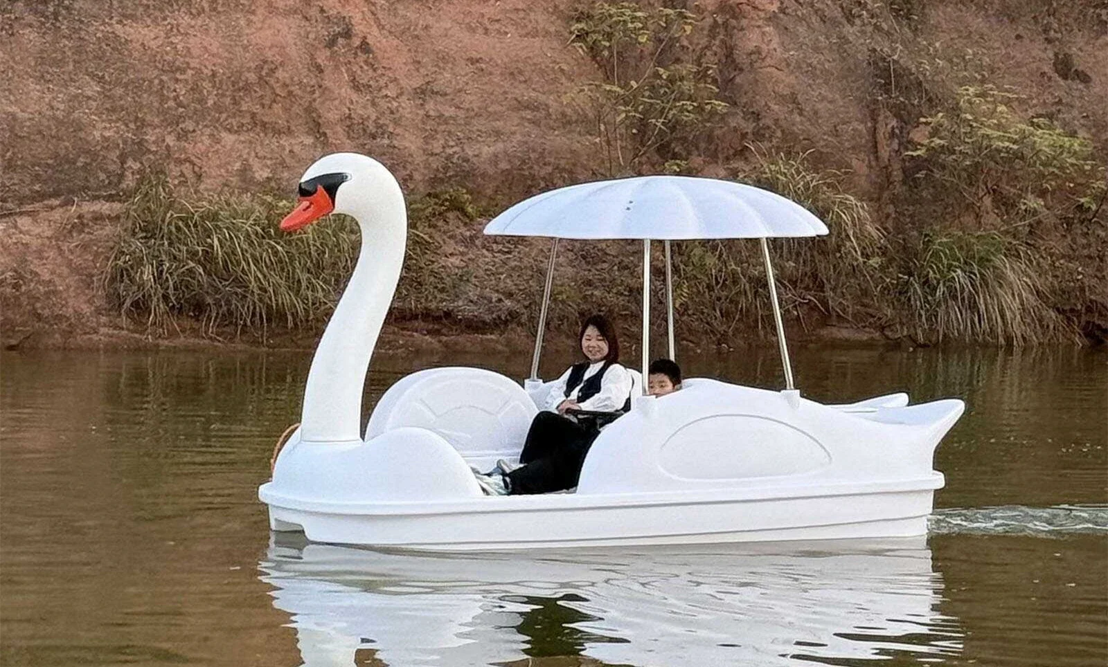 Swan detail