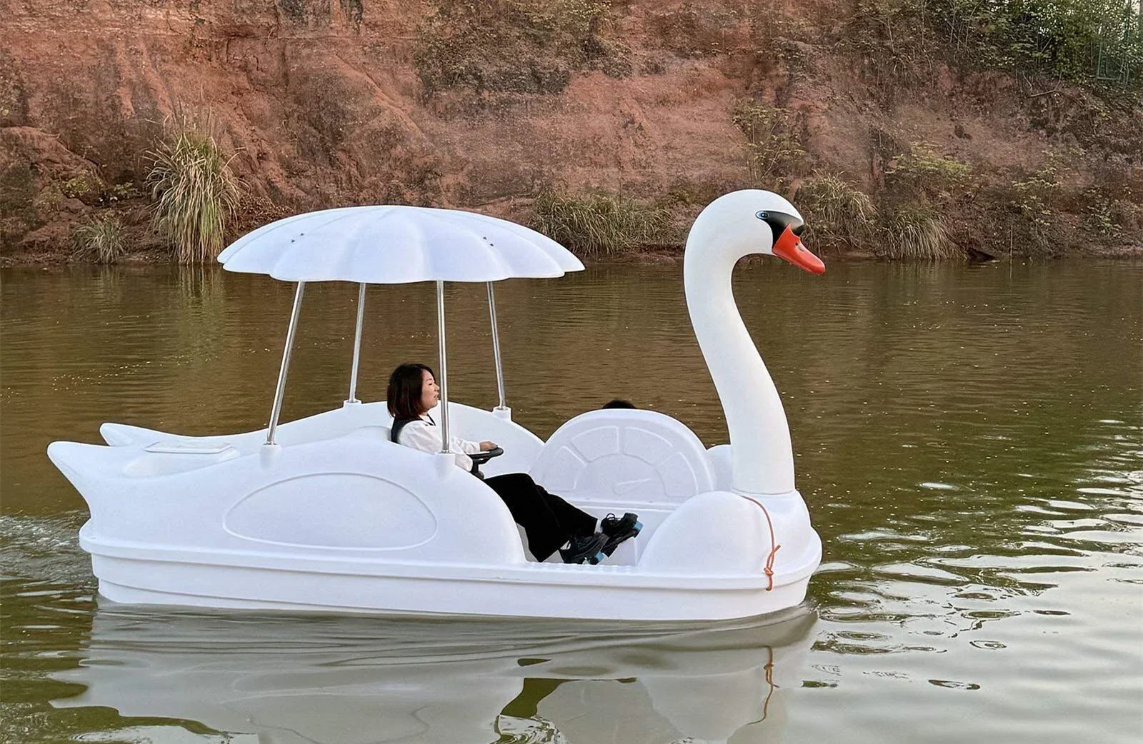 Swan detail